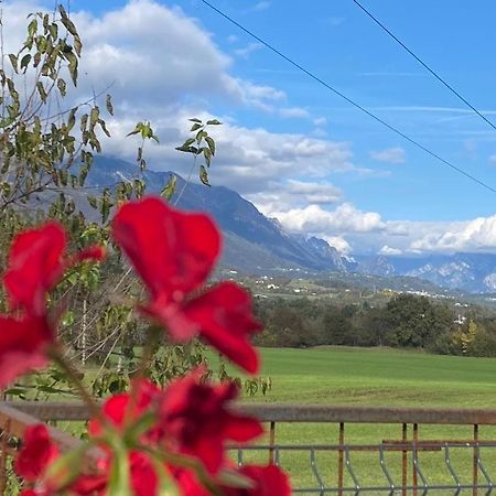 Il Mondo Roverso Feltre Eksteriør billede