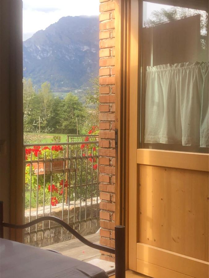 Il Mondo Roverso Feltre Eksteriør billede
